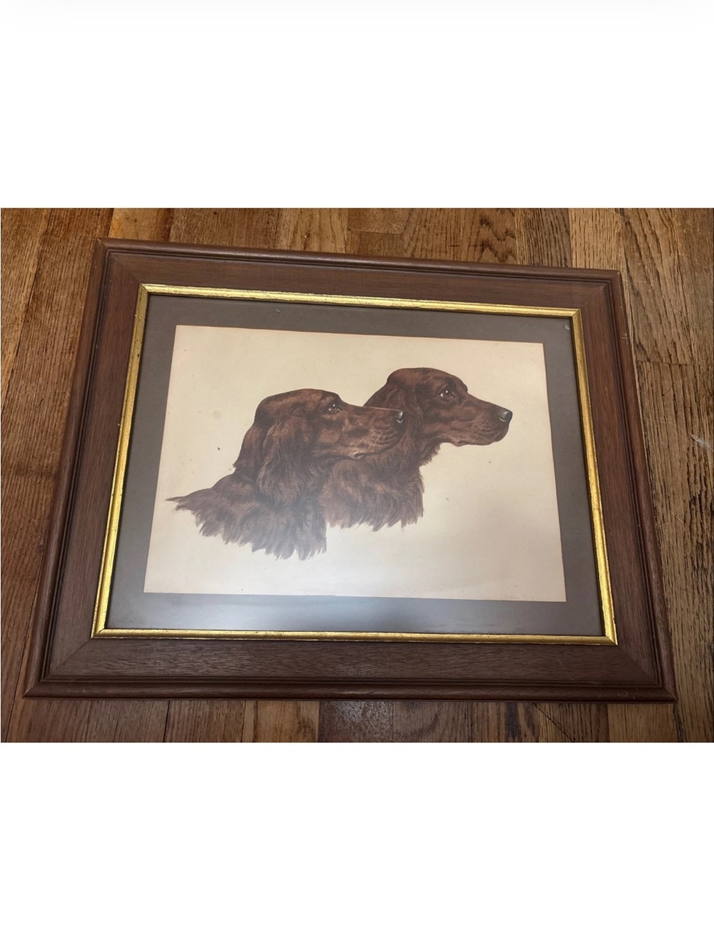 Paul Wood Irish Setters “Setters Irlandais” Signed Etching c1935~No 123 Framed